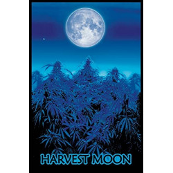 Harvest Moon Trippy Flocked...