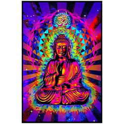 Cosmic Buddha Trippy...